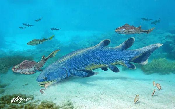 龍魚吃蝦嚼完就吐怎么辦？原因分析與解決方案