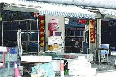 龍魚吃泥鰍不怕骨頭傷胃嗎？解析龍魚的飲食習性與健康管理