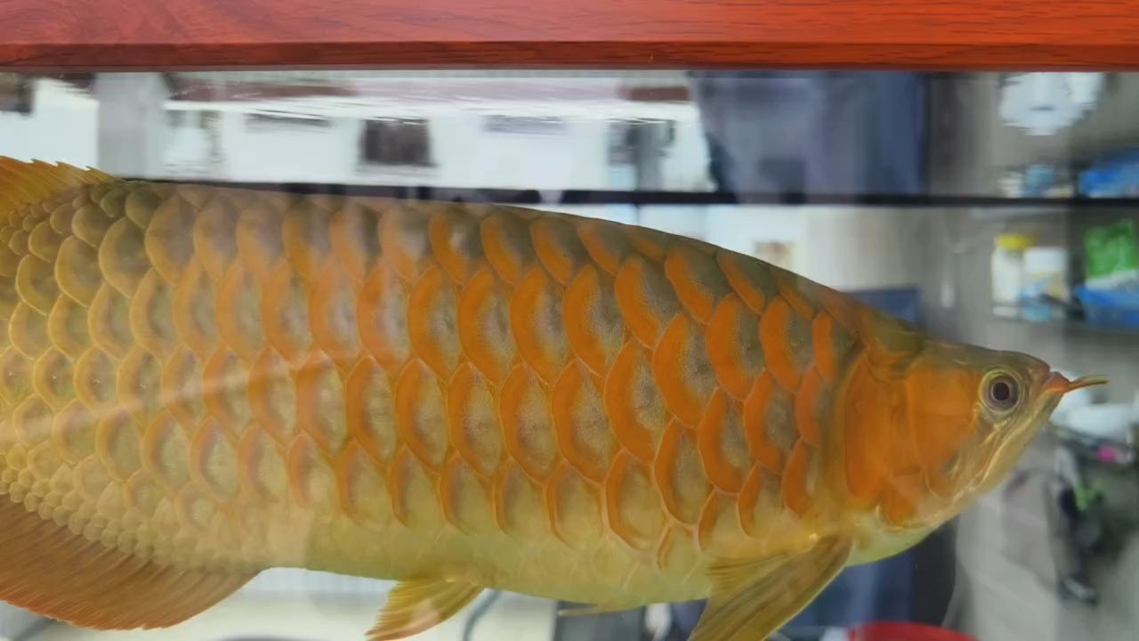 11個月記錄，馬上滿年