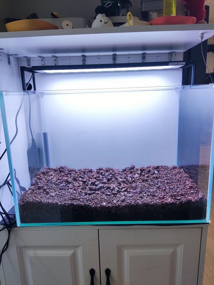 我想問問大神這樣配置的魚缸可以嗎