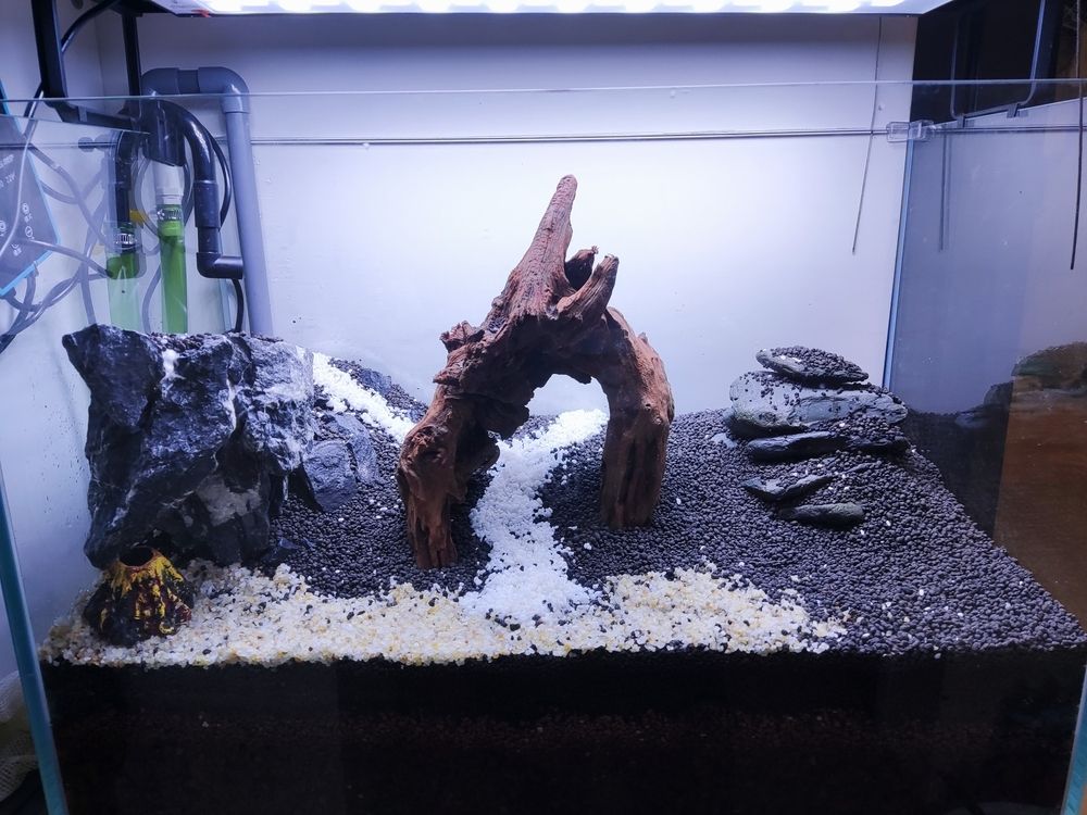 我想問問大神這樣配置的魚缸可以嗎