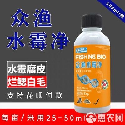 龍手把件最忌三種行為，保養不當、隨意擺放、心不誠則靈不驗