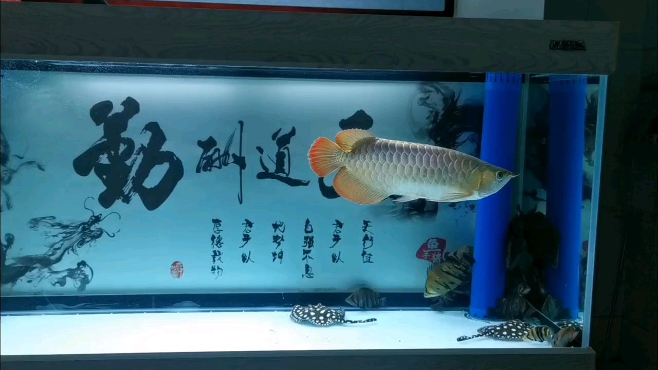 時(shí)隔一年，我又回來(lái)了