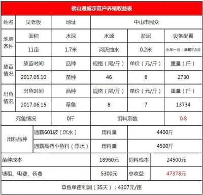 龍女最不合的四個屬相，性格沖突與相處之道