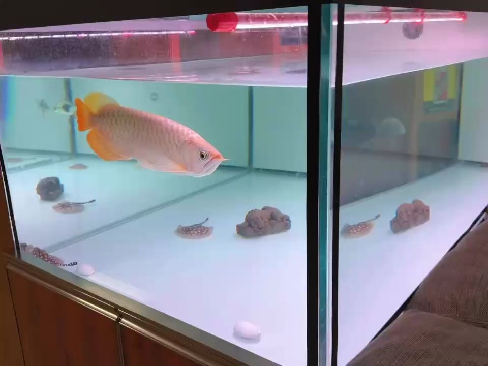 簡單粗暴