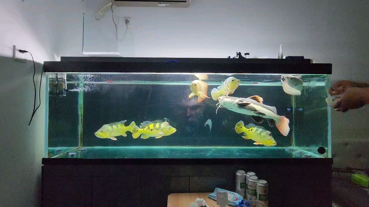 調大音量，聽聽炸水聲