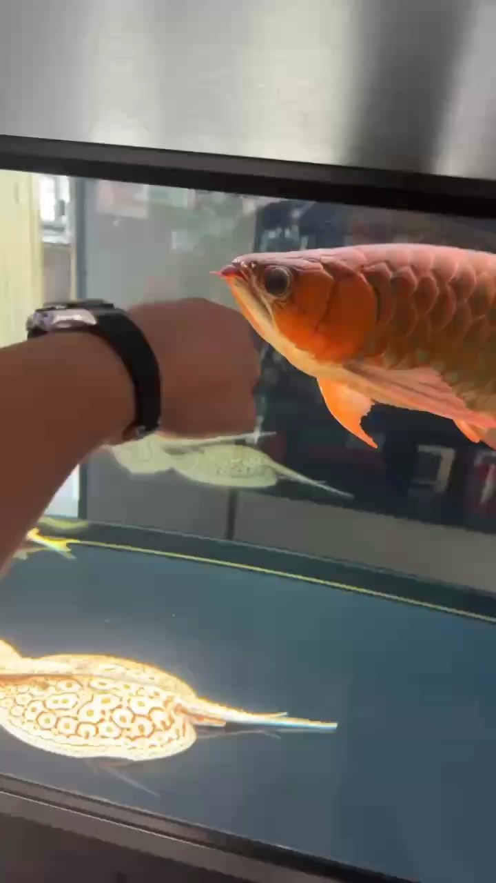 你好11月