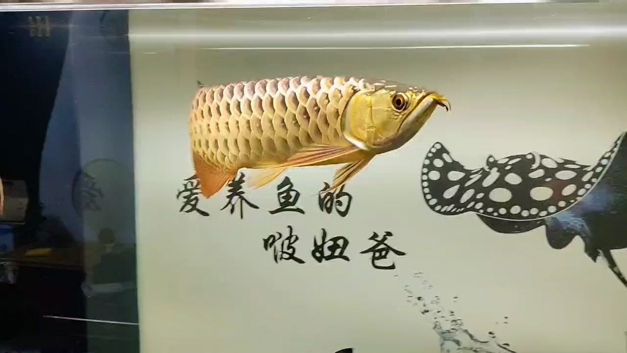 十一月，你好。