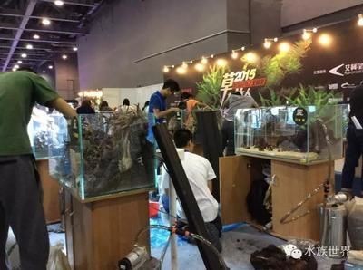 龍與哪些生肖相克相沖，解析十二生肖的相沖關系