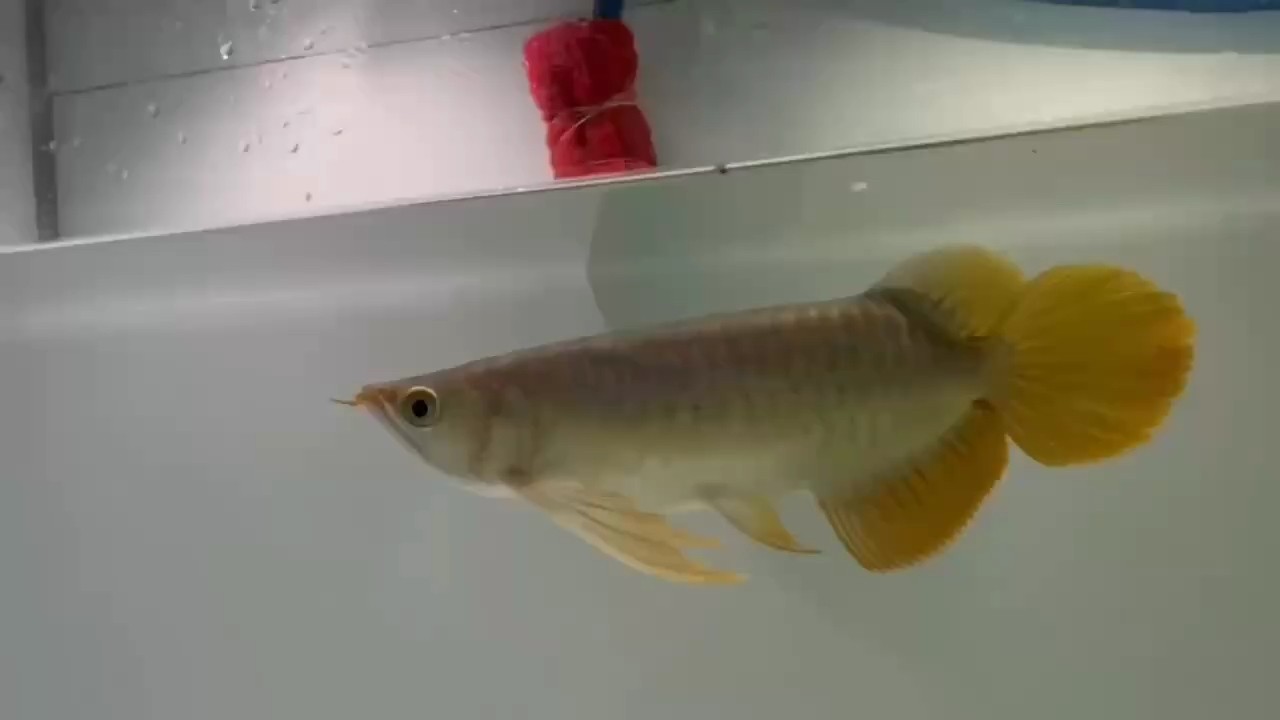 更好