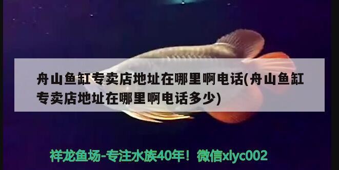 舟山魚缸專賣店地址在哪里啊電話(舟山魚缸專賣店地址在哪里啊電話多少) 舟山魚缸專賣店地址在哪里啊電話(舟山魚缸專賣店地址在哪里啊電話多少) iwish愛唯希品牌魚缸