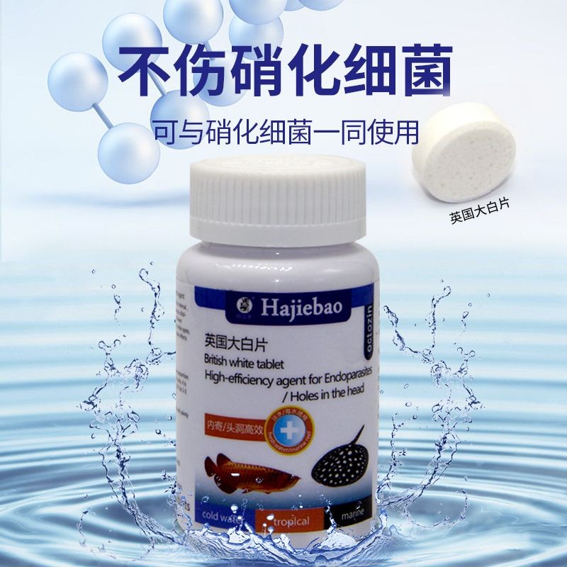 外寄大白片對(duì)魟魚的作用：外寄大白片在外寄生蟲的治療方面對(duì)魟魚有顯著的作用 外寄大白片對(duì)魟魚的作用：外寄大白片在外寄生蟲的治療方面對(duì)魟魚有顯著的作用 魟魚百科 第2張