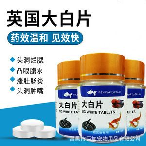 外寄大白片對(duì)魟魚的作用：外寄大白片在外寄生蟲的治療方面對(duì)魟魚有顯著的作用 外寄大白片對(duì)魟魚的作用：外寄大白片在外寄生蟲的治療方面對(duì)魟魚有顯著的作用 魟魚百科 第3張