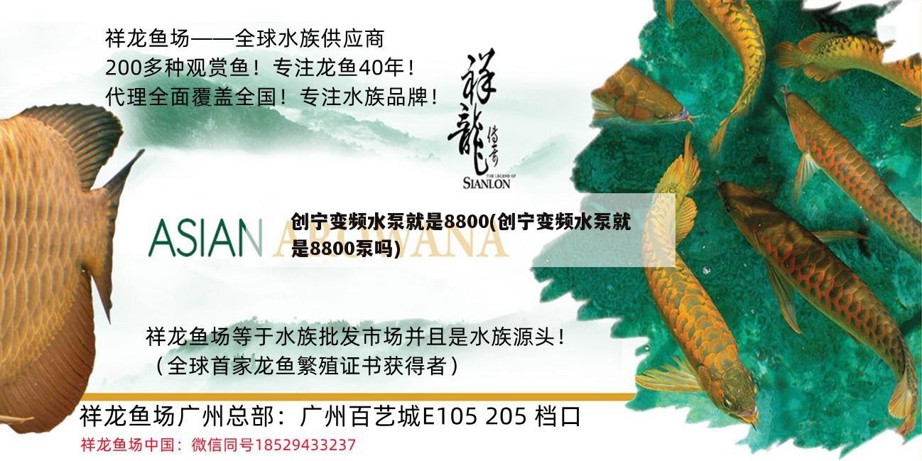 創(chuàng)寧變頻水泵就是8800(創(chuàng)寧變頻水泵就是8800泵嗎)