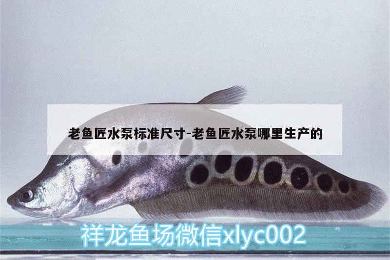 老魚匠水泵標準尺寸:老魚匠水泵哪里生產的