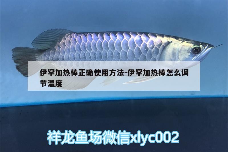 伊罕加熱棒正確使用方法:伊罕加熱棒怎么調節溫度