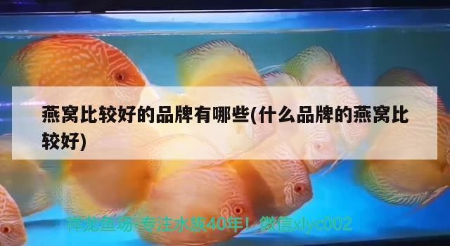 東莞市厚街海月水族器材店