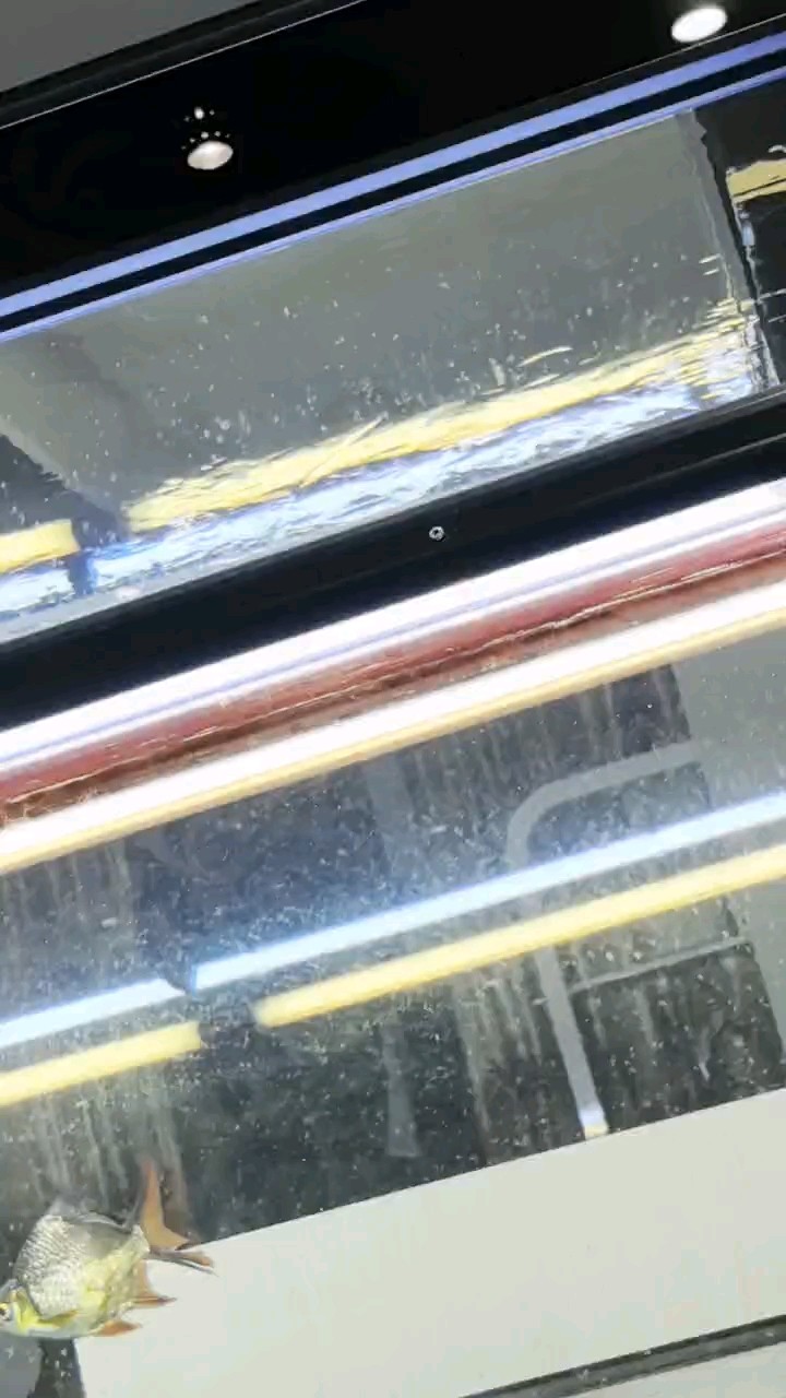 為啥除油膜的孔，不是吸水反而是出水