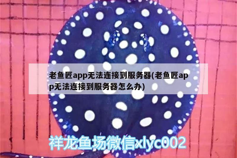 老魚匠app無法連接到服務(wù)器(老魚匠app無法連接到服務(wù)器怎么辦)