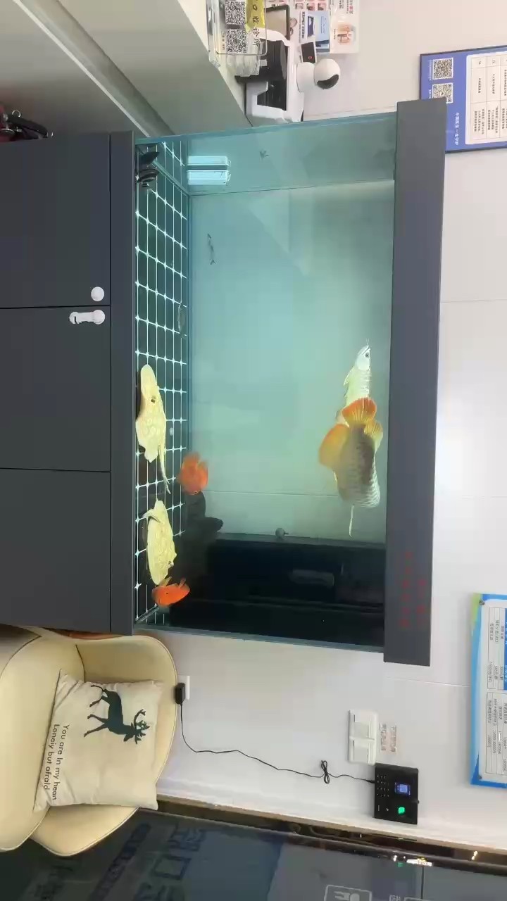 繞了一個晚上了