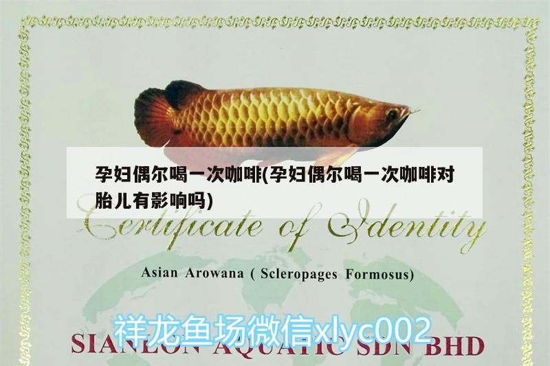 孕婦偶爾喝一次咖啡(孕婦偶爾喝一次咖啡對胎兒有影響嗎)