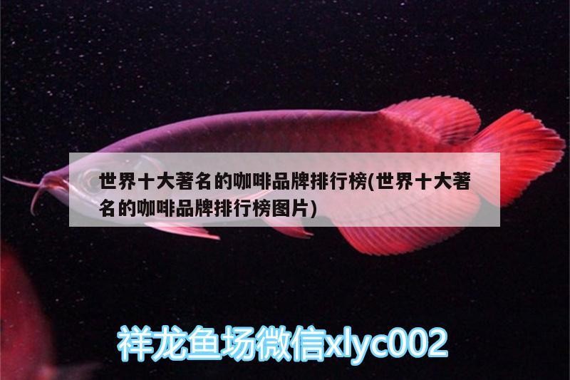 世界十大著名的咖啡品牌排行榜(世界十大著名的咖啡品牌排行榜圖片)