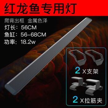 最好的紅龍魚專用燈品牌：紅龍魚專用燈品牌推薦