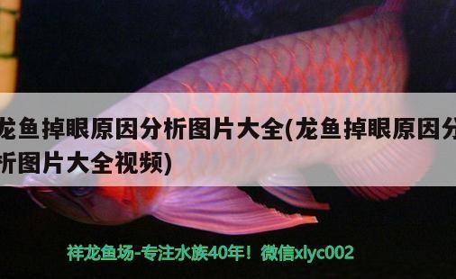 黃金首飾和黃金首飾有什么區別？（黃金和黃金首飾有什么區別，）