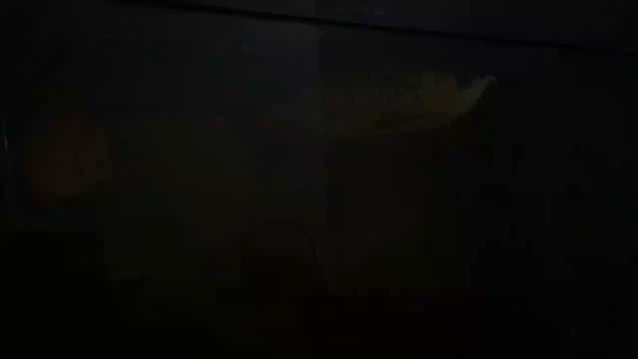 老家養的魚