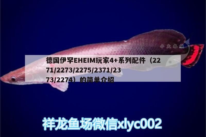 德國伊罕EHEIM玩家4+系列配件（2271/2273/2275/2371/2373/2274）的簡單介紹 德國伊罕EHEIM玩家4+系列配件（2271/2273/2275/2371/2373/2274）的簡單介紹 伊罕水族