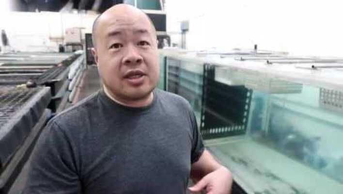 魟魚怎么讀拼音和組詞怎么寫啊視頻：“魟魚”怎么讀拼音和組詞怎么寫
