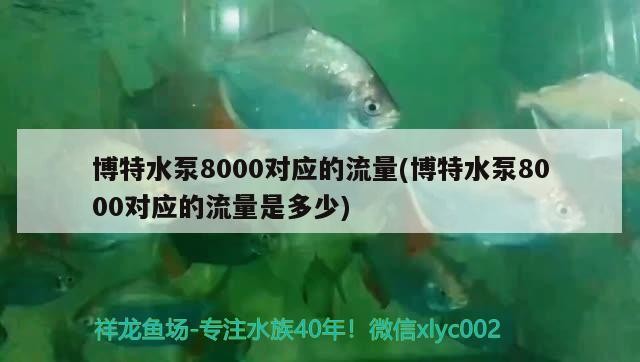 博特水泵8000對應的流量(博特水泵8000對應的流量是多少)