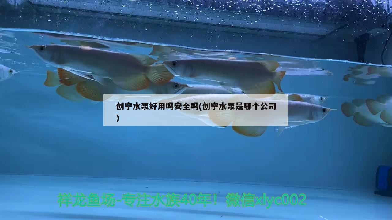 創寧水泵好用嗎安全嗎(創寧水泵是哪個公司)