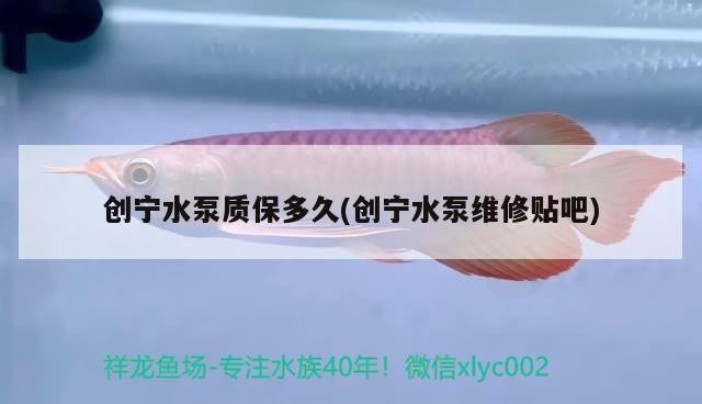 創寧水泵質保多久(創寧水泵維修貼吧)