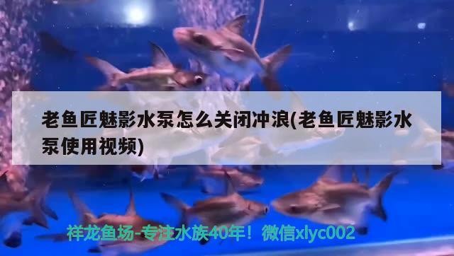 老魚匠魅影水泵怎么關(guān)閉沖浪(老魚匠魅影水泵使用視頻)