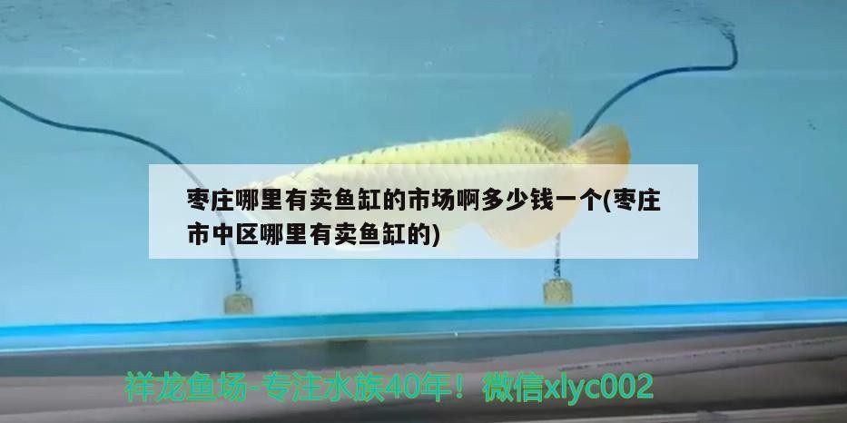 棗莊哪里有賣(mài)魚(yú)缸的市場(chǎng)啊多少錢(qián)一個(gè)(棗莊市中區(qū)哪里有賣(mài)魚(yú)缸的)