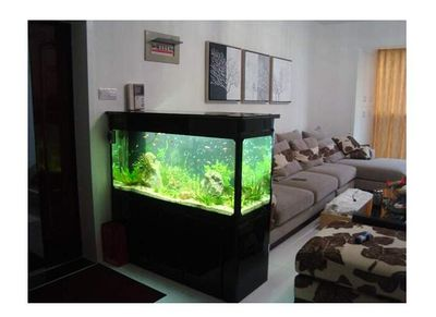 創寧變頻水泵異響怎么回事（創寧變頻水泵異響怎么回事啊）