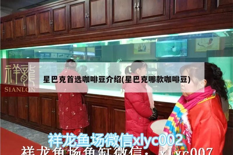 星巴克首選咖啡豆介紹(星巴克哪款咖啡豆)