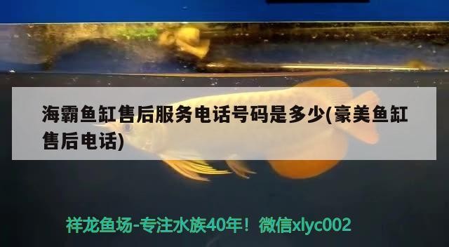 詳細(xì)閱讀:海霸魚缸售后服務(wù)電話號(hào)碼是多少(豪美魚缸售后電話) 海霸魚缸售后服務(wù)電話號(hào)碼是多少(豪美魚缸售后電話)