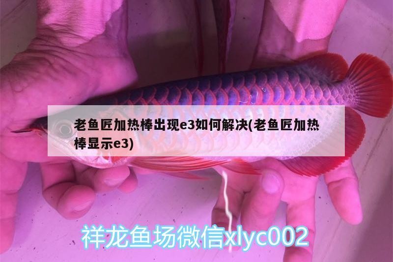 老魚匠加熱棒出現e3如何解決(老魚匠加熱棒顯示e3)
