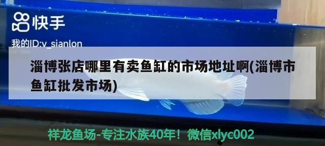 淄博張店哪里有賣魚缸的市場地址啊(淄博市魚缸批發市場)