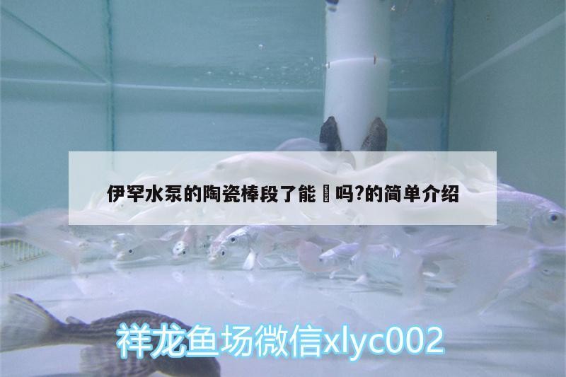 伊罕水泵的陶瓷棒段了能俢嗎?的簡單介紹