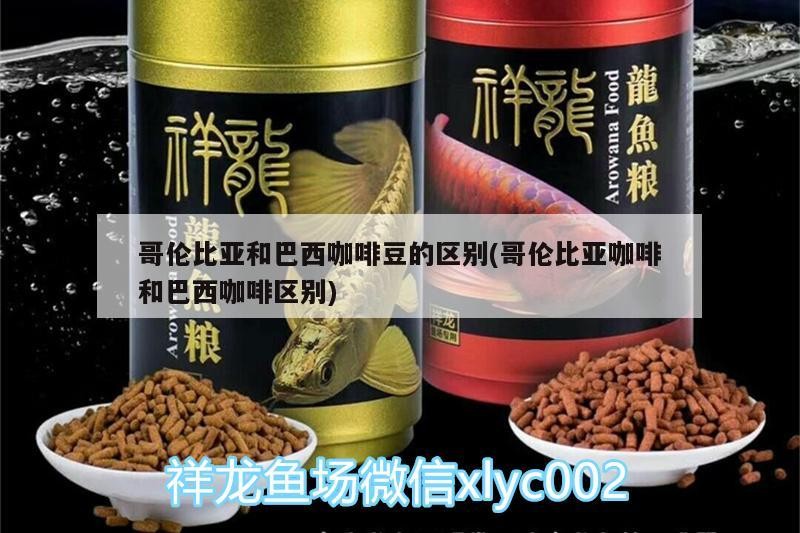 哥倫比亞和巴西咖啡豆的區別(哥倫比亞咖啡和巴西咖啡區別)