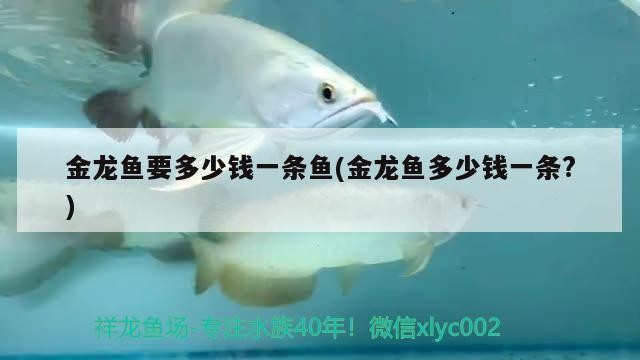 博特水泵變頻器（博特變頻水泵怎么樣）