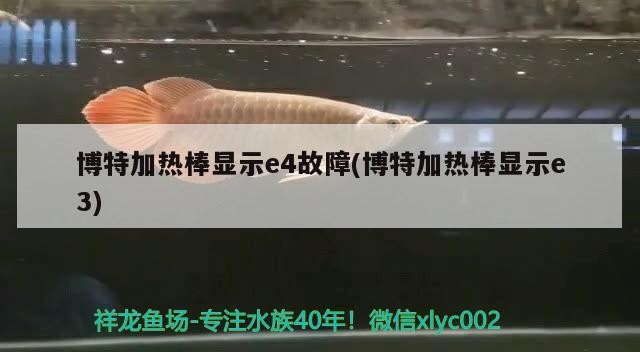 博特加熱棒顯示e4故障(博特加熱棒顯示e3)