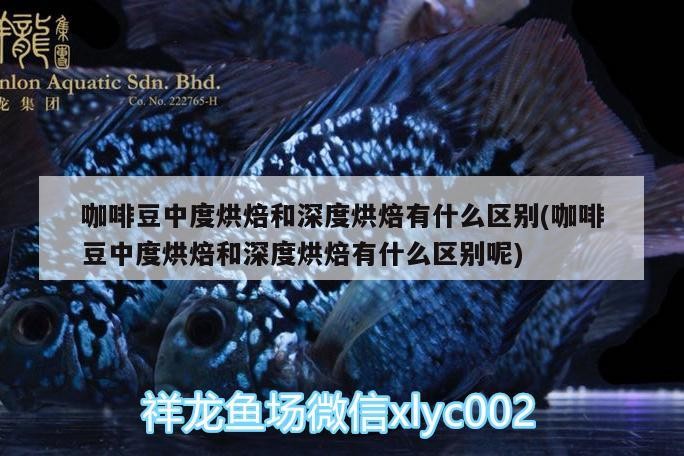 咖啡豆中度烘焙和深度烘焙有什么區別(咖啡豆中度烘焙和深度烘焙有什么區別呢)