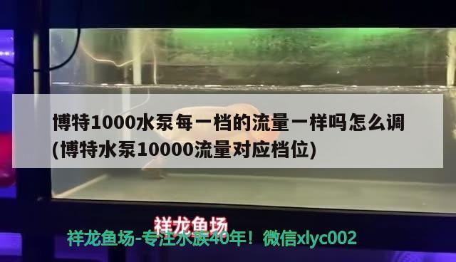 博特1000水泵每一檔的流量一樣嗎怎么調(博特水泵10000流量對應檔位)