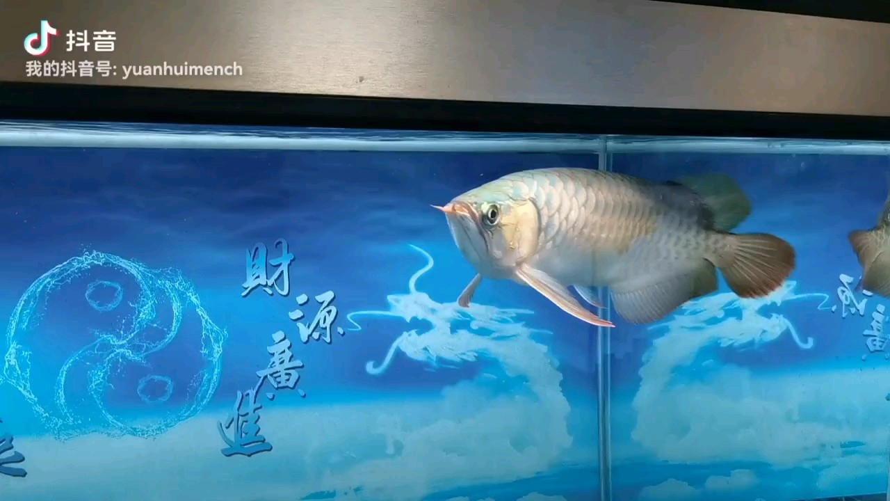 兜嘴嚴(yán)重