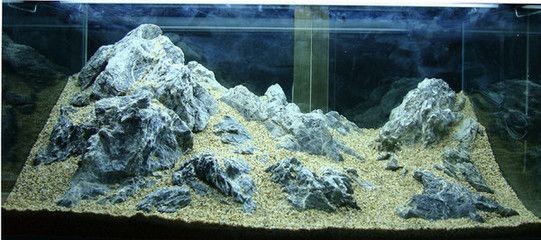 50cm的魚缸造景設計：50cm魚缸造景設計技巧