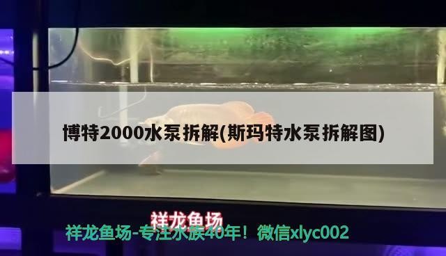 博特2000水泵拆解(斯瑪特水泵拆解圖) 博特2000水泵拆解(斯瑪特水泵拆解圖) 博特水族